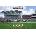 Pitch Publishing Ltd Racing Post Desk Calendar 2026 | David Dew