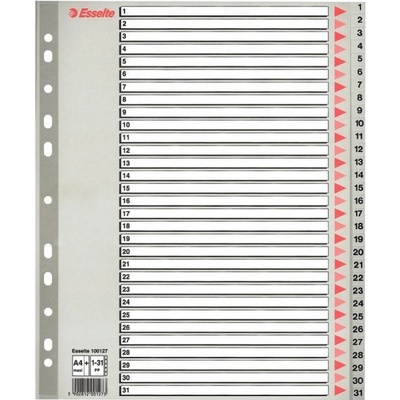 Farebné registre, šedá, A4 Maxi, plast, 1-31, ESSELTE