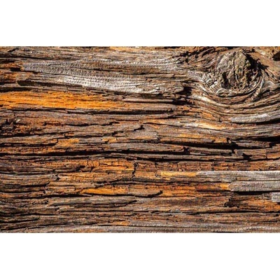 Dimex XL-541 vliesová fototapeta na zeď Kůra stromu rozměry 330 x 220 cm