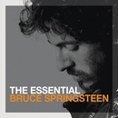 SPRINGSTEEN BRUCE: ESSENTIAL CD