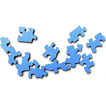 Cobble Hill Birds of the Forest 1000 dielov