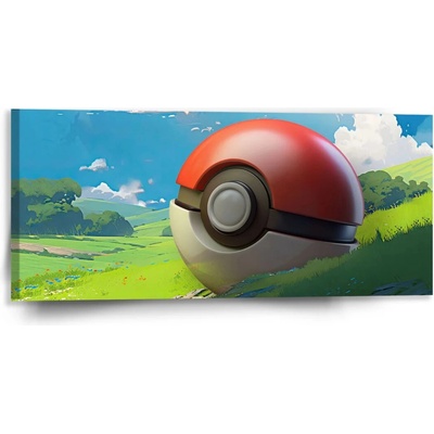 Sablio Obraz Pokemon ball Krajina - 110x50 cm