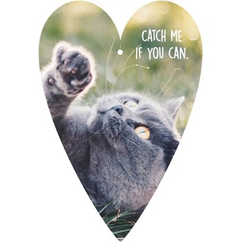 Image 1 of Gespaensterwald Картичка Gespaensterwald - Таг, Котка (29117)