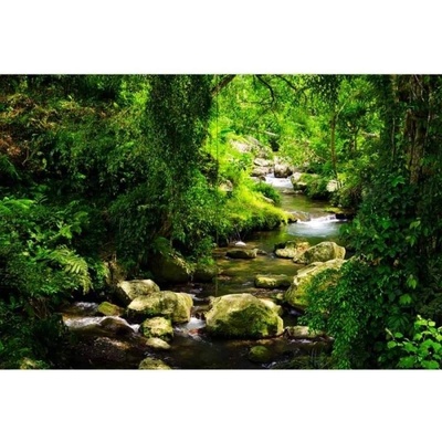 DIMEX ART Флизелинов фототапет планински поток 375 x 250 см