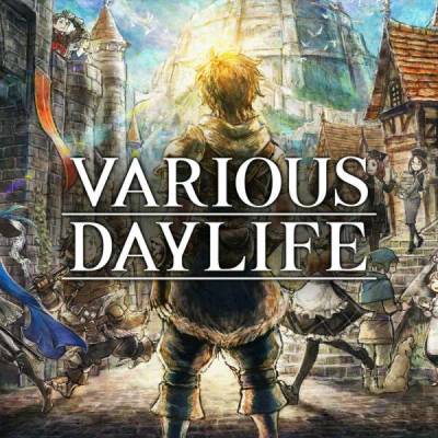 Игра VARIOUS DAYLIFE за PC Steam, Електронна доставка