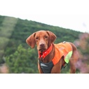 Non-stop Dogwear Vesta Protector