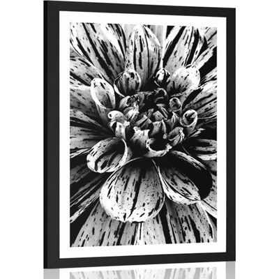 Plakát s paspartou exotická dália v černobílém provedení - 20x30 black