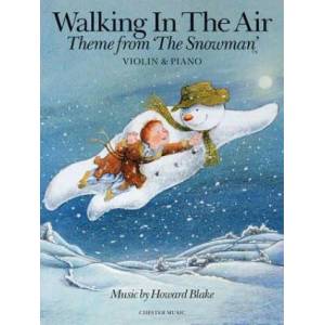 Walking In The Air (The Snowman) - Violin/Piano | Howard Blake (2012)