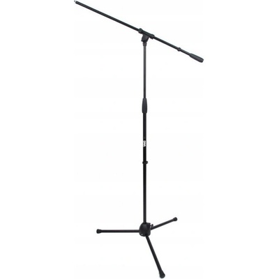 DNA MIC1