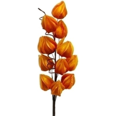 KLIA Větev umělá textilní Mochyně (Physalis) 45cm oranžová