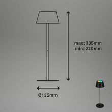 Briloner 7466015