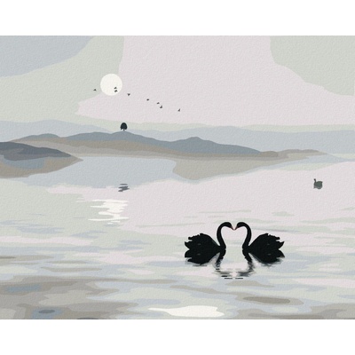 zuty Malování Podle Čísel Labutí Jezero 40 x 50 Cm Plátno Rám 8596530140054
