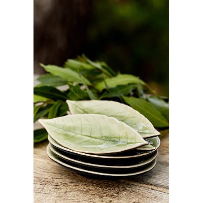 Costa Nova Talíř odkladač Lístek 18cm RIVIERA černá/zelená Vert frais