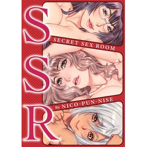 Secret Sex Room (ISBN: 9781634423694)