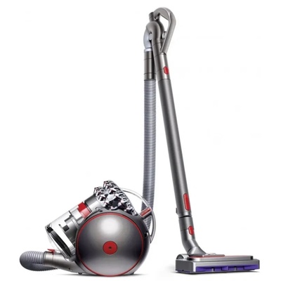Dyson Cin BigBall Absolute/Purple