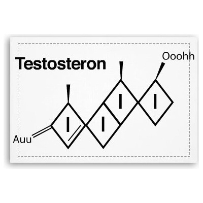 Fotoobraz 90x60 cm střední Testosteron