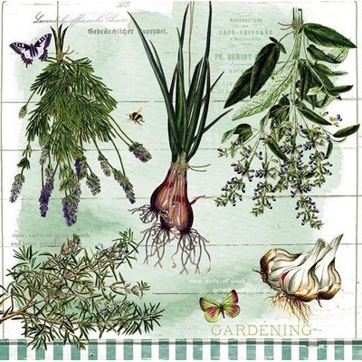 Ubrousek 33x33cm Bylinky – Sleviste.cz