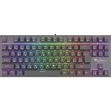 Genesis Thor 300 TKL RGB NKG-1819