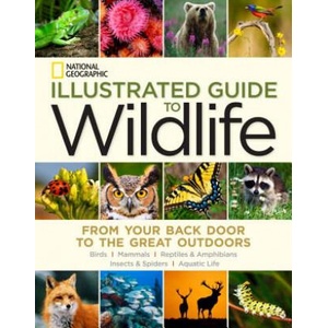 National Geographic Illustrated Guide to Wildlife | National Geographic (ISBN: 9781426213724)