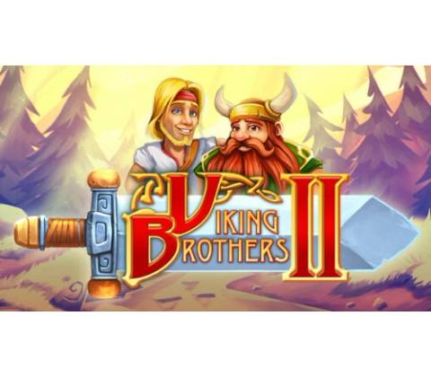 Viking Brothers 2