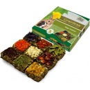 Grainless pralinky pre hlodavce 125 g JR Farm