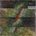 ACTIVE SURPLUS - MIRRORING 1 LP