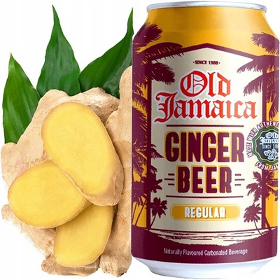 Old Jamaica zázvorové pivo plech 330 ml – Zbozi.Blesk.cz