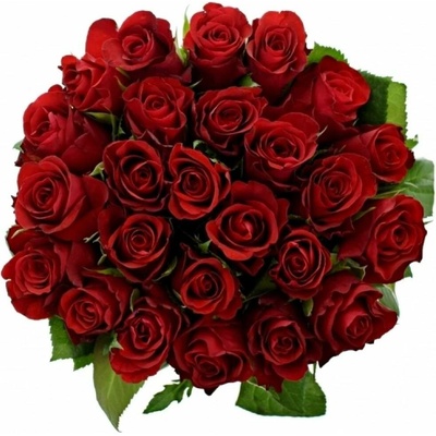 Kytice 25 červených růží SIMPLY RED 50 cm