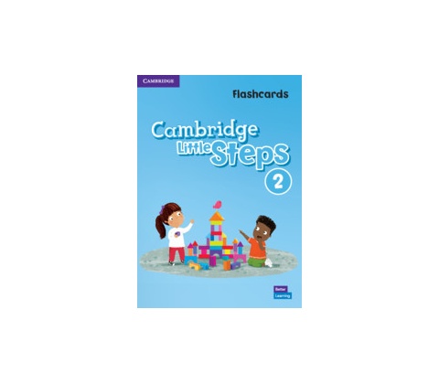 Cambridge Little Steps Level 2 Flashcards