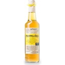 Báťkovy Bylinkové Sirupy Pampeliška 0,5 l