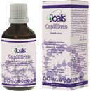 Joalis Capili Dren 50 ml