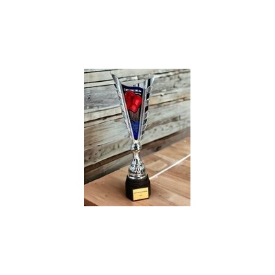 Poháry Bauer Sportovní pohár SL14 Bojová umění