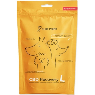 Cure Point CBD Recovery L 100 g