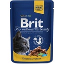 Brit Premium chicken & turkey 100 g