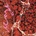 ICEAGE - BEYONDLESS CD