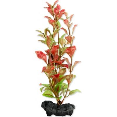 Tetra Red Ludwigia S 15 cm