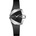 Hamilton H24105330