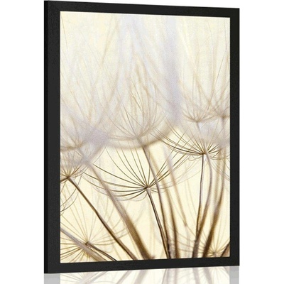 Plakát pampelišková semena - 20x30 white