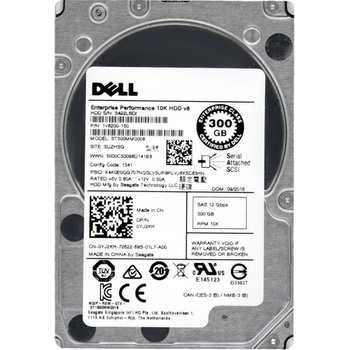 Dell 300 GB 2,5" SAS, 0YJ2KH