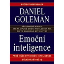 Emoční inteligence