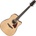 Ibanez AAD51CE-NT