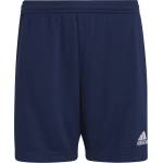 adidas Ent22 tr shoy 164