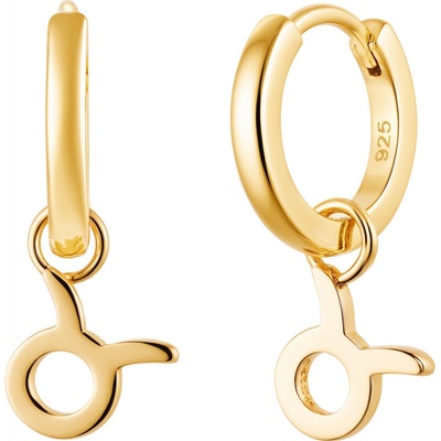 Olivie Stříbrné náušnice BÝK GOLD 9588
