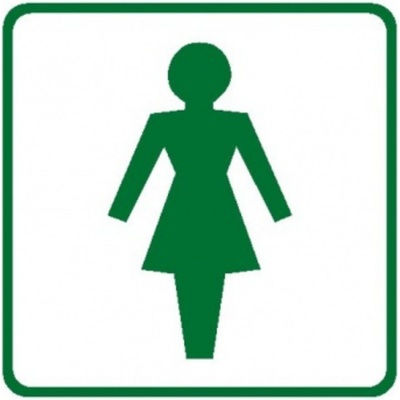 Bezpečnostní značky DT034B 10x10cm fólie WC ženy - symbol bez textu