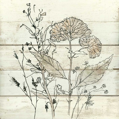 Sušené květiny 1 1 deska 60x60
