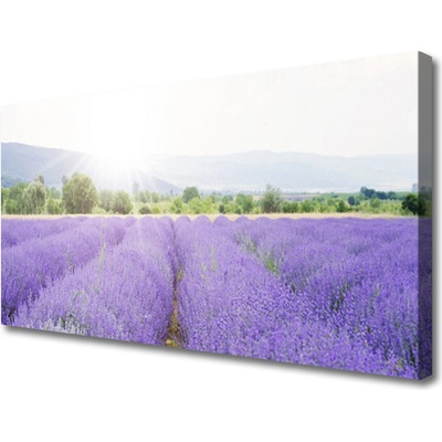 Obraz Canvas Pole levanduľa príroda lúka 100x50 cm