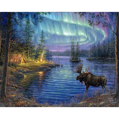 Figured ART malování podle čísel LOS A POLÁRNÍ ZÁŘE