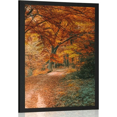 Plakát krásný les v podzimním období - 40x60 black