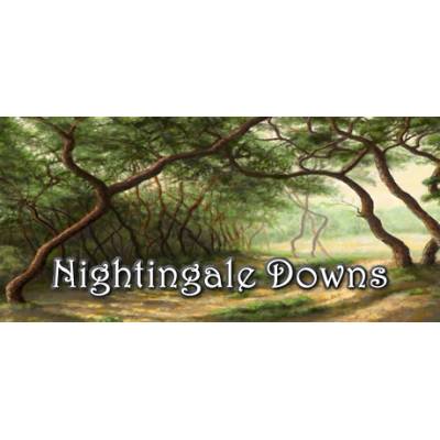 SimProse Studios Nightingale Downs (PC)