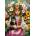 Trefl - Puzzle Little girl with cats - 1 000 piese
